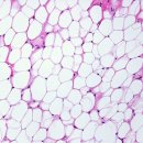 상대원 동물병원 이미지