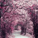 완산-148 이미지