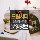 드림시티약국