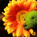 도봉초등학교 이미지