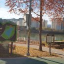 물빛근린공원 이미지