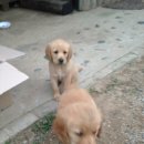 다시올민박 이미지