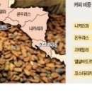 세계농장 이미지