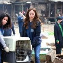 시동농장 이미지