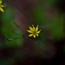 화암농장 이미지