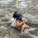 백미리 어촌체험마을 티스토리