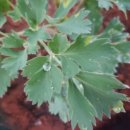 봉일농장 이미지