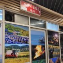 세종청사 5동-2 | 세종청사 점심 어진동 맛집 부두집 밥도둑 술도둑 오징어 불볶음 피자 콤보 후기