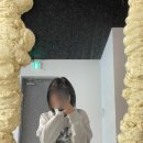 다솔댄스학원 이미지