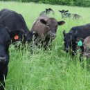 선구목장 이미지