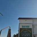 커피에빙수더하기 | [여수 카페 추천] 바다 위에 떠 있는 기분? 오션뷰 끝판왕 ‘카프 아일랜드 카페’ 후기