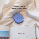 일봉천연염색학교