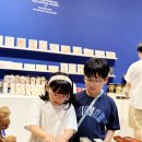 별내체험마을 | 쿠푸왕의 피라미드 전시 솔직리뷰 (서울 어린이 체험 초등 여름방학 할인)