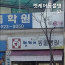 벳케어동물병원