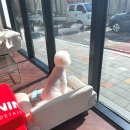 올웨이즈 반려견 미용실 이미지