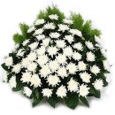 여주-0383 이미지