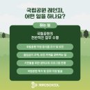 비타민멘토