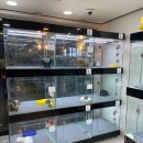 멍멍왕자 야옹공주 이미지