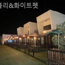 오블리&화이트펫 이미지