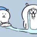 초평집수상펜션 네이버블로그