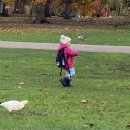 혜진이네민박 | 혜진이와 함께한 유럽여행_영국편