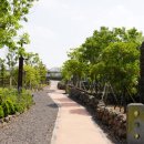 에코촌유스호스텔 이미지