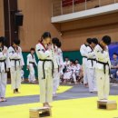 늘품태권도 이미지