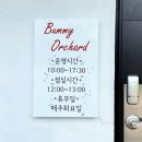 버미오차드