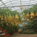 수령농장 이미지