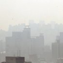 헤어가이드 이미지