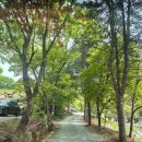 은행가득 주유소 | 충북 제천 달재오토캠핑장 - 계곡, 애견동반 타프존 A4 사이트 캠핑후기