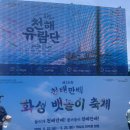 제부마리나.레저 | 온가족 취향저격! 화성뱃놀이축제 "여름물놀이,흙놀이,요트체험, 경품이벤트까지 [화성가볼만한곳...