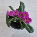 You 행정사사무소 이미지