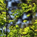 마음에그리다 이미지