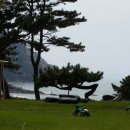 태창조경