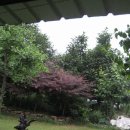 종산농장 이미지