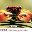 갯지렁이 전시관 이미지