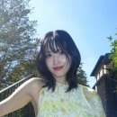 성운코아 이미지