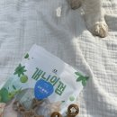 개님의상점 이미지