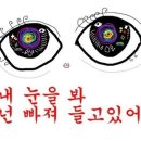 보니따 이미지