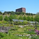 무릉도원 이미지