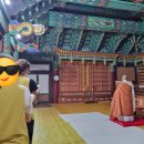 [사찰여행] 진안 금당사 템플스테이 추천 후기(휴식형) + 잡설