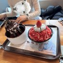 댕이요 펫택시 | 18삼월후기