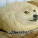 덴뿌라 - 성북구 | 덴뿌라
