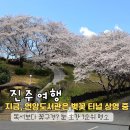 연암도서관 앞 | 진주 벚꽃 명소 추천, 영화 속 한 장면 같은 연암도서관 벚꽃 터널 실시간 현황