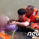 평택시 배다리저수지1 이미지