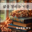 안젤라붐