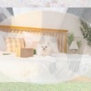 동물병원 퍼피하우스 이미지