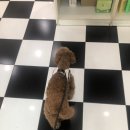 논산동물병원 이미지