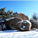 경상도우회기념회장 암각 이미지